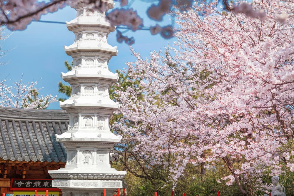 Gamcheon Village & Haedong Yonggungsa Day Tour